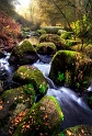 paysage 20_11_11n02bis